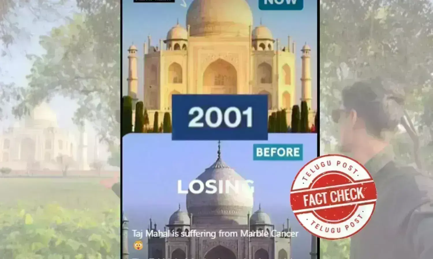 Fact Check:کیا تاج محل موسم کی تبدیلی کی وجہ سے اپنی خوبصورتی کھورہا ہے؟ کیا ہے سچائی؟