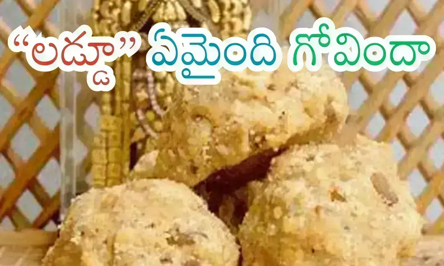 laddu controversy investigation is not proceeding, devotees, controversy, tirumala latest updates, tirumala laddu controversy