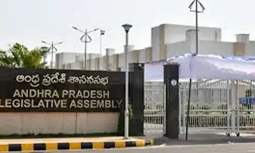 election,  vijaya sai reddy,  resigned, andhra pradesh