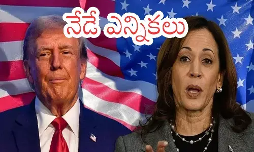 kamala harris,  donald trump, presidential election, america election latest, donald trump is republican candidate,  kamala harris is democratic candidate