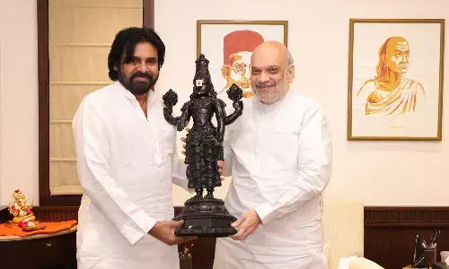 pawan kalyan, deputy chief minister, amit shah, union home minister