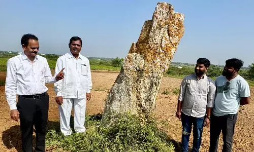 ఈమని శివనాగిరెడ్డి: 3500 ఏళ్ల నాటి ఇనుపయుగపు నిలువు రాతిని కాపాడుకోవాలి