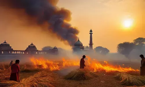 Know alternative methods to tackle stubble burning