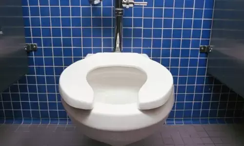 Toilets, Toilet, Sitting, HealthIssues