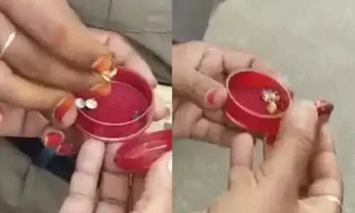 BusDriver, RTCBusDriver, Gold, Theft