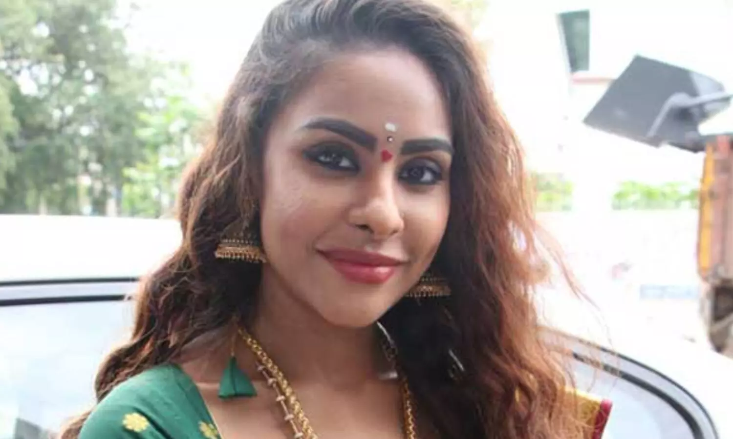 Srireddy, Andhrapradesh, APHighCourt, Cases