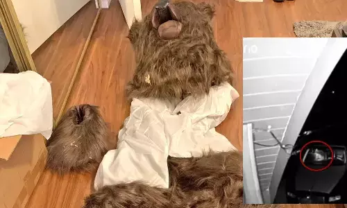 OperationBearClaw, DepartmentOfInsurance, Investigation, California