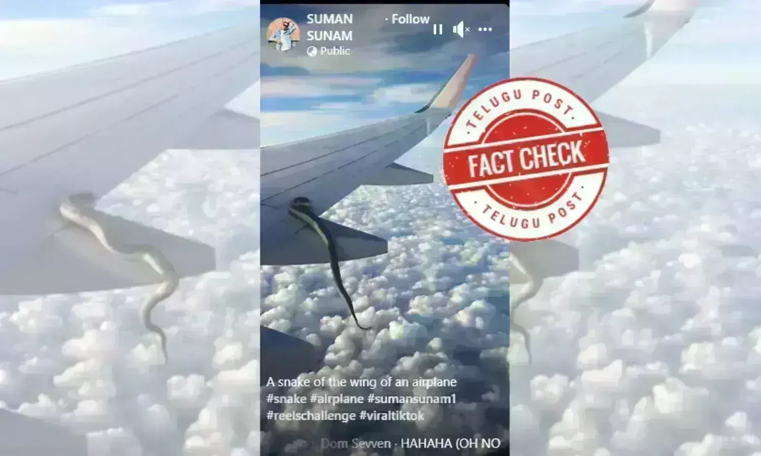 IndiGo flight, snake on flight, viral video, flap track fairing