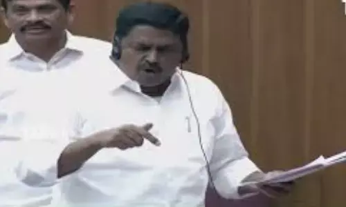 council, ycp, tdp, andhra pradesh