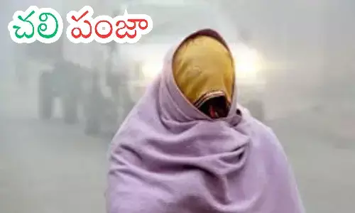 cold waves, warnings, influenza, telangana