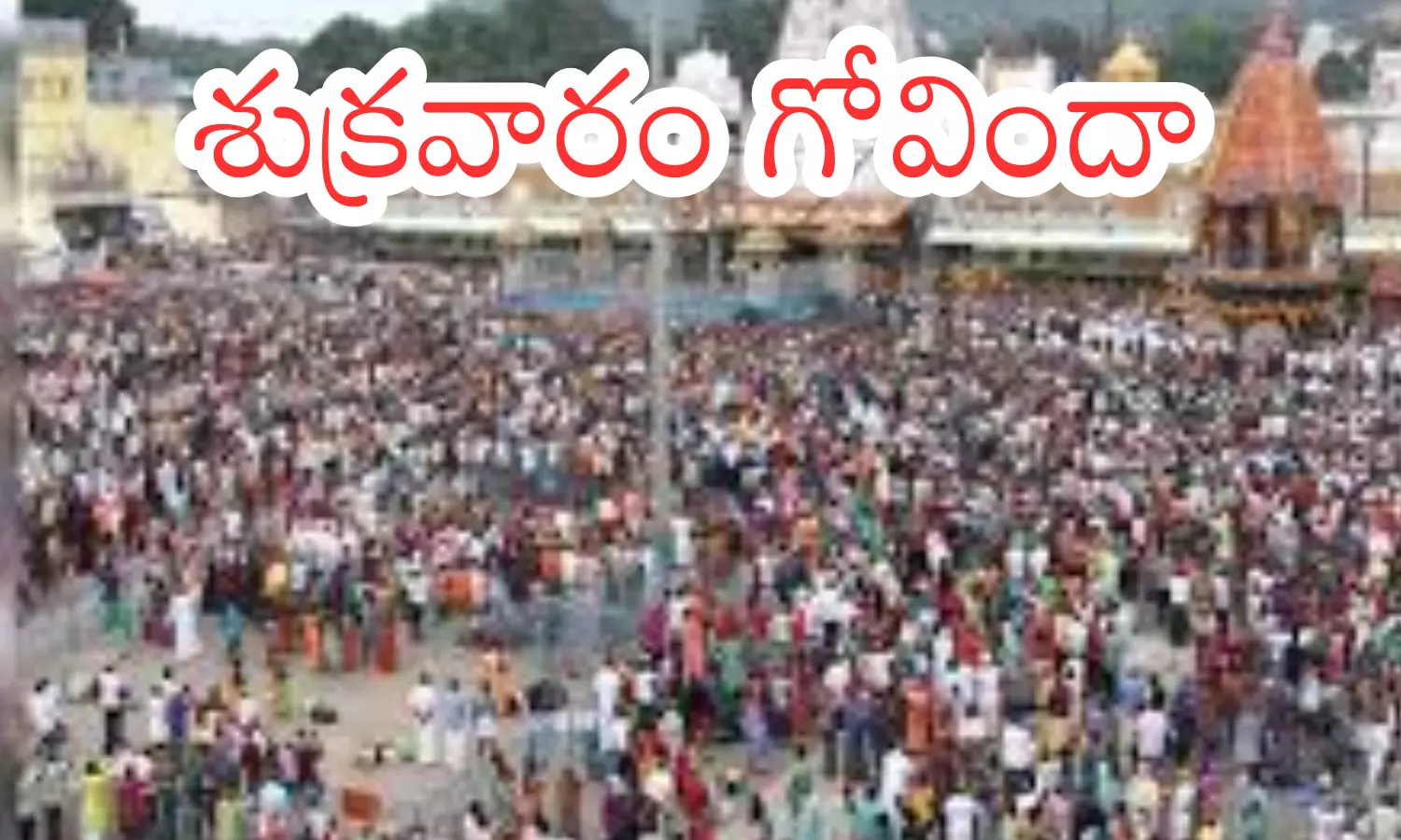 darshan time today in tirumala, crowd, divotees, friday