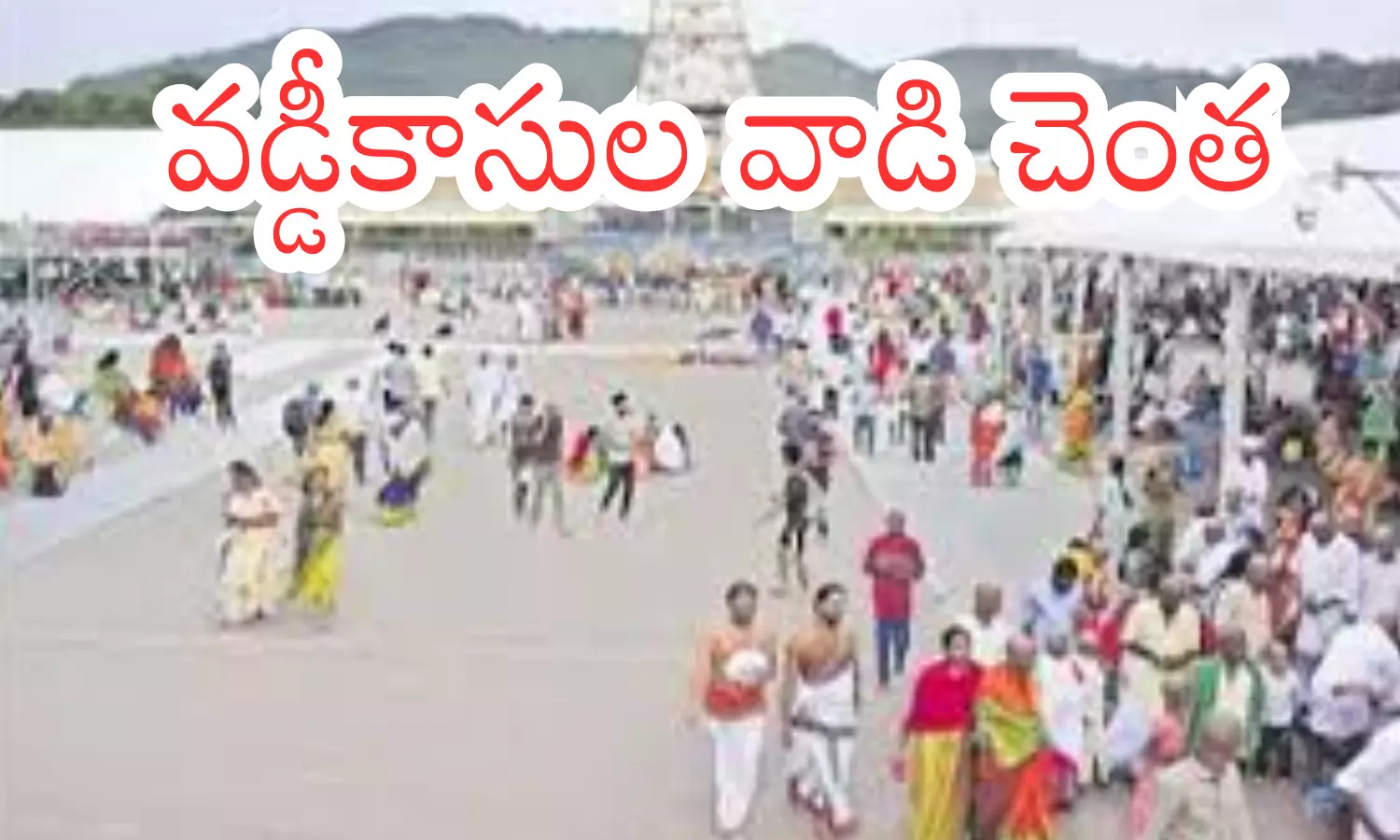 darshan time today in tirumala, crowd, divotees, sunday