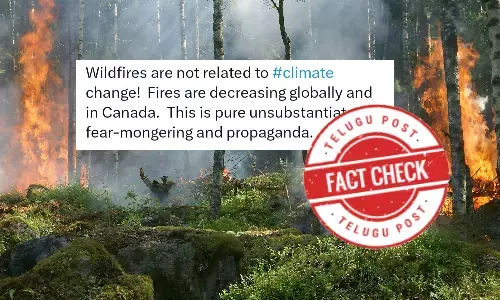 Wildfire,climate change,Wildlife,Ecosystem