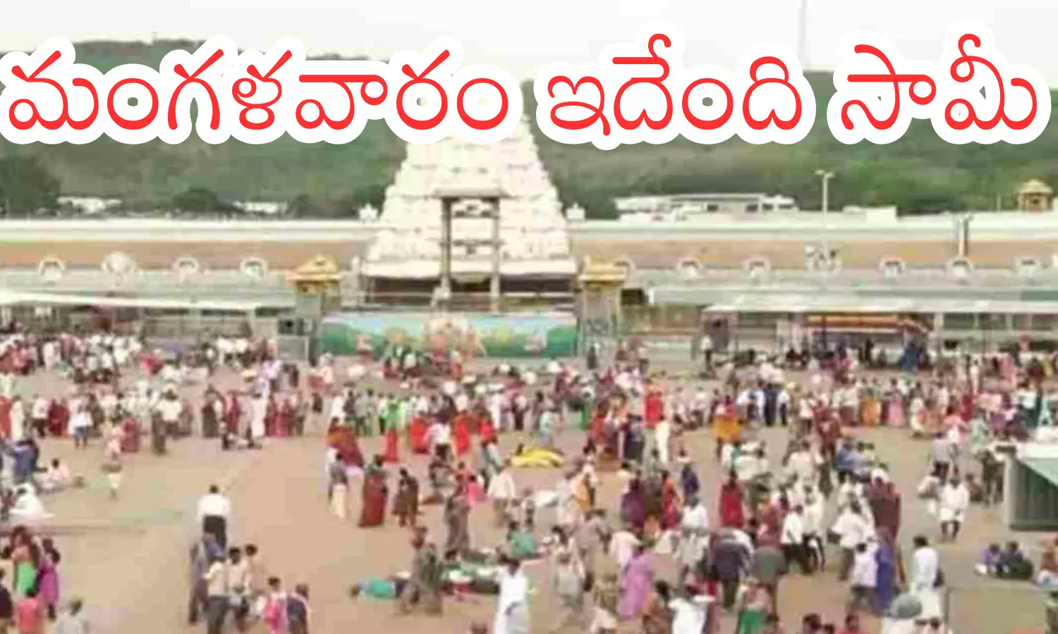 darshan time today in tirumala, crowd, divotees, tuesday