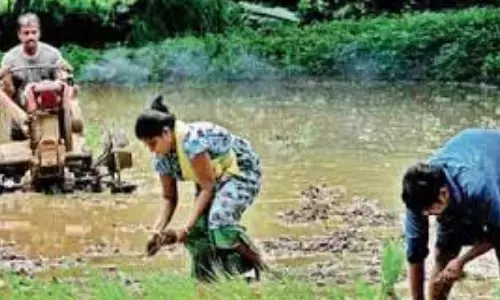 farmers, three days,mahbubnagar district, telangana