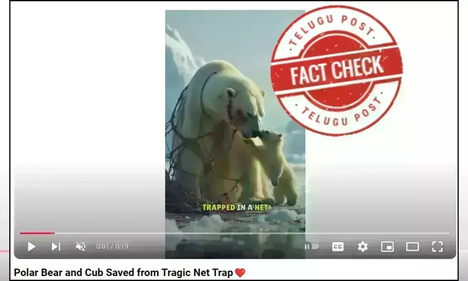 AI video of Polar bear