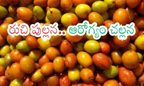 plums,  price, benefits, health