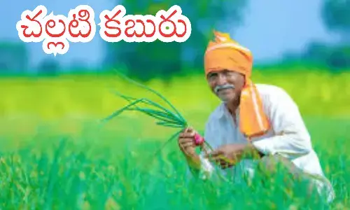 central government, good news,  farmers, crop insurance