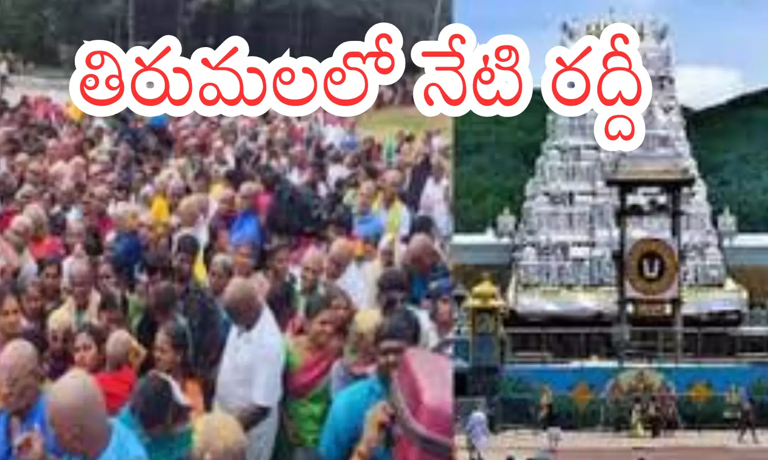 darshan time today in tirumala, crowd, divotees, saturday