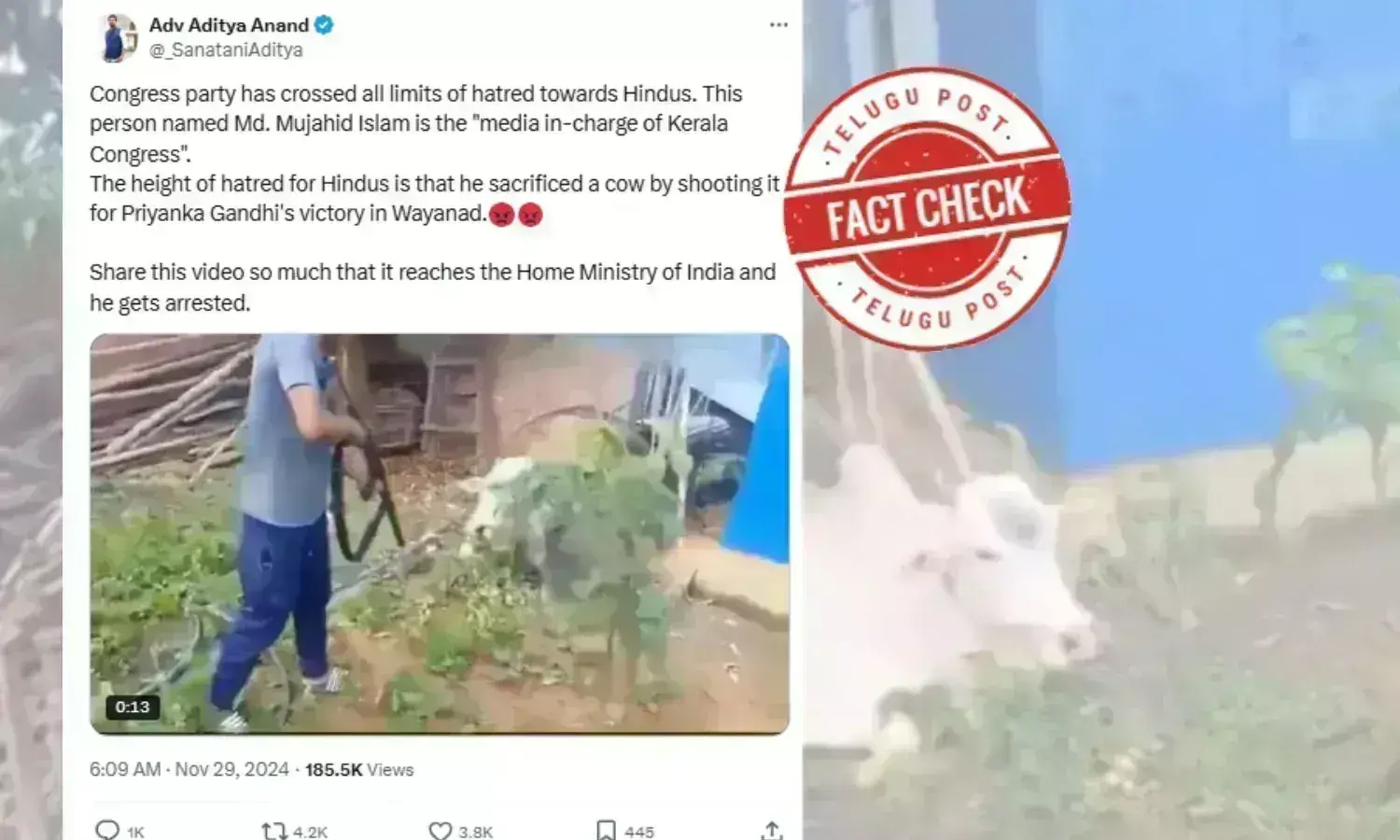 Fact Check: کیرلہ کانگریس کے میڈیا انچارج نے گائے پر گولی چلاکر پرینکا گاندھی کی جیت کی خوشی منائی؟ جانئے سچائی