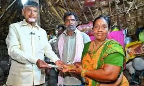 chandrababu naidu, chief minister, pensions, nantapur district