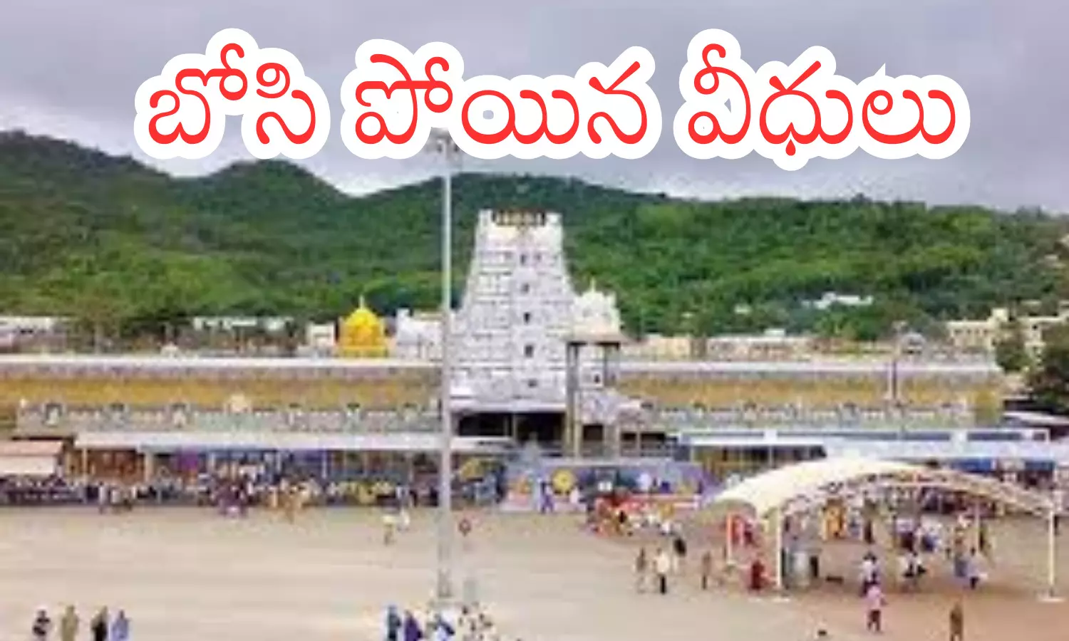 darshan time today in tirumala, crowd, divotees, direct line darshan time today in tirumala, crowd, divotees, direct line