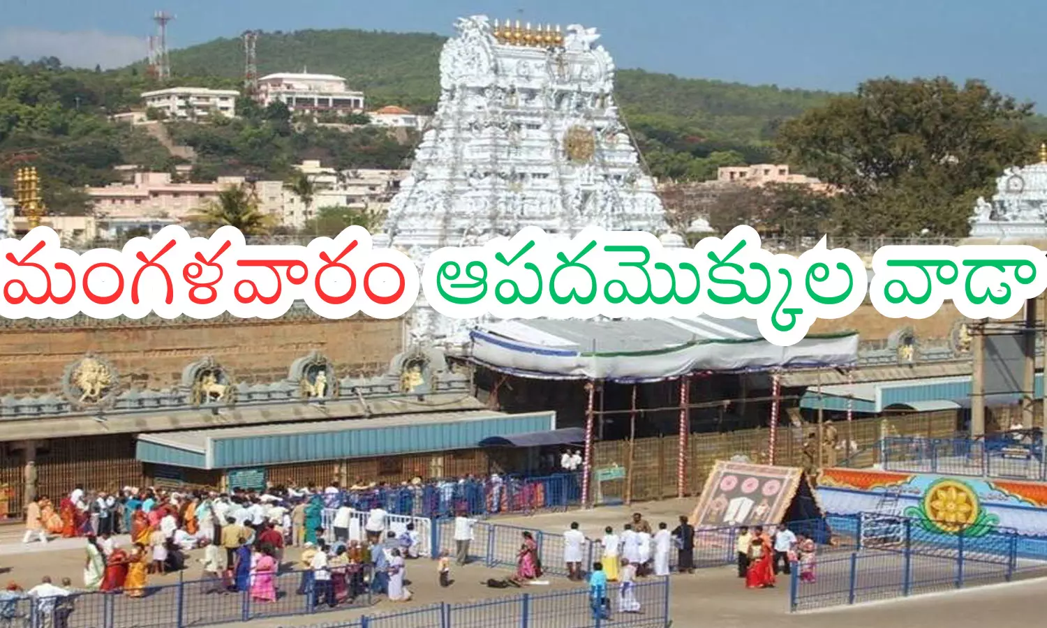 darshan time today in tirumala, crowd, divotees, tuesday