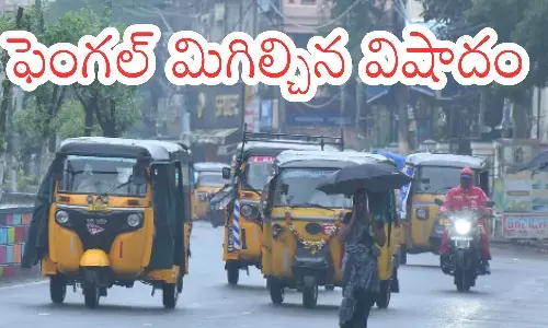 cyclone effect in andhrapradesh, fengal, heavy rains, crop loss