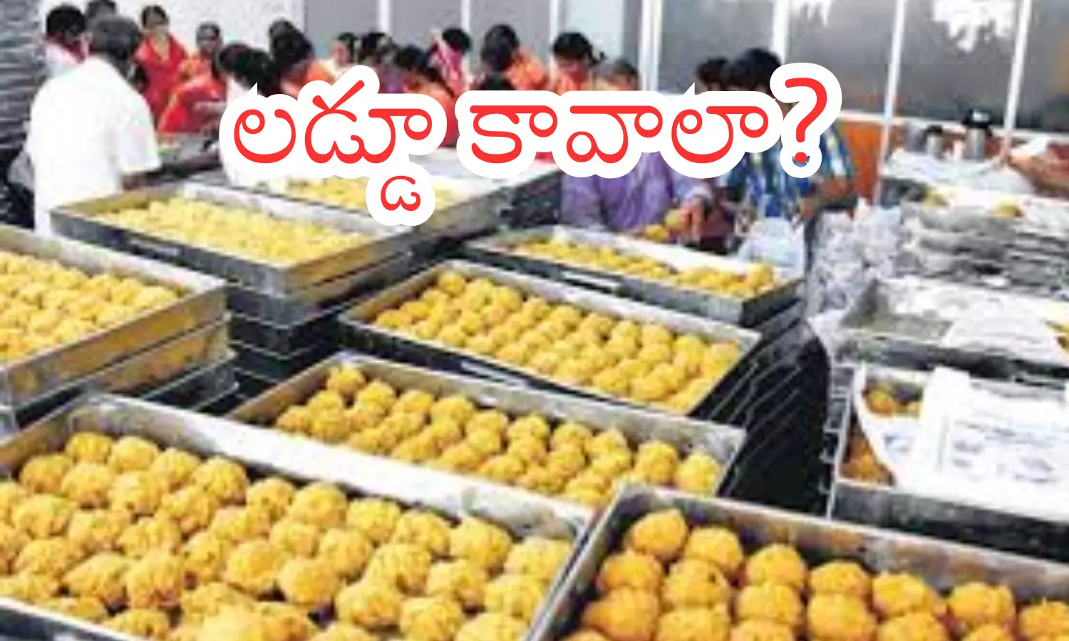 tirumala tirupati devasthanam, good news, devotees, laddus tirumala tirupati devasthanam, good news, devotees, laddus