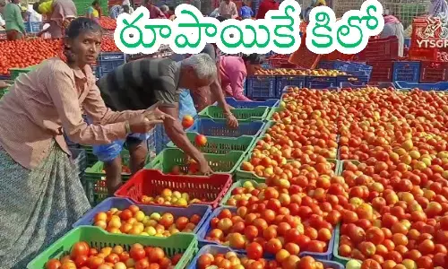tomato, price,  fallen, one rupee