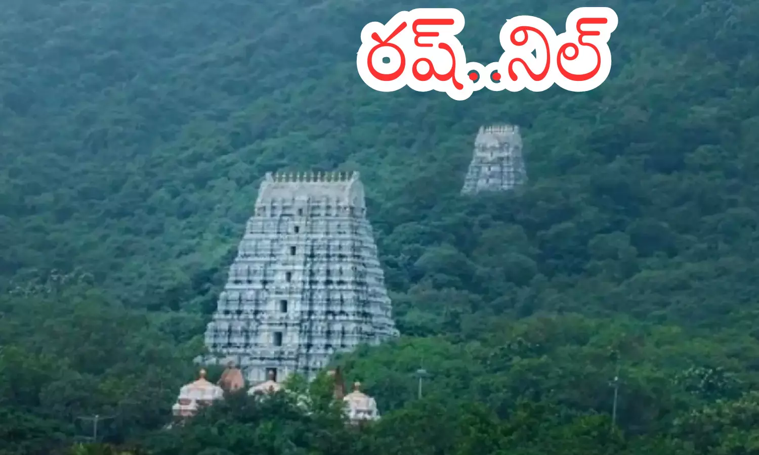 darshna time today in tirumala,  crowd , divotees, wednesday