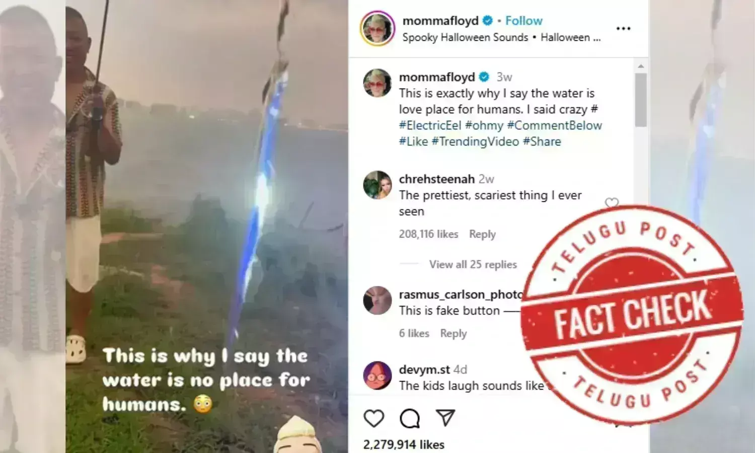 Fact Check:کٹلیس فش کا ویڈیو الیکٹرک ائیل مچھلی کے گمراہ کن دعویٰ کے ساتھ وائرل