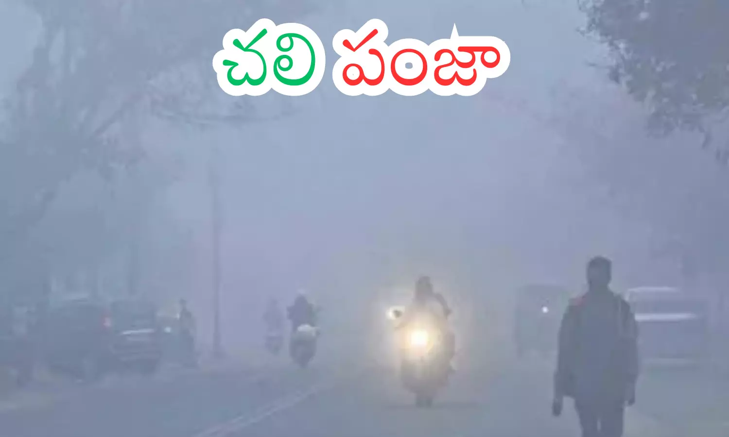 cold wave,  increased, minimum temperatures,  telangana