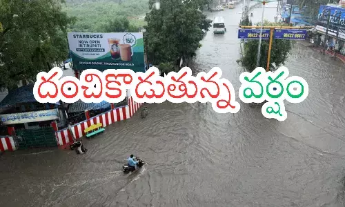 heavy rains today in andhra pradesh, low pressure,  bay