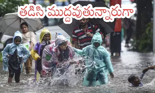 heavy rains in andhra pradesh, low pressure, nellore, prkasam