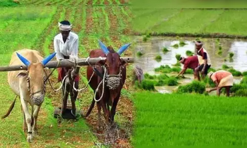 RBI,Agriculture, two lakhs