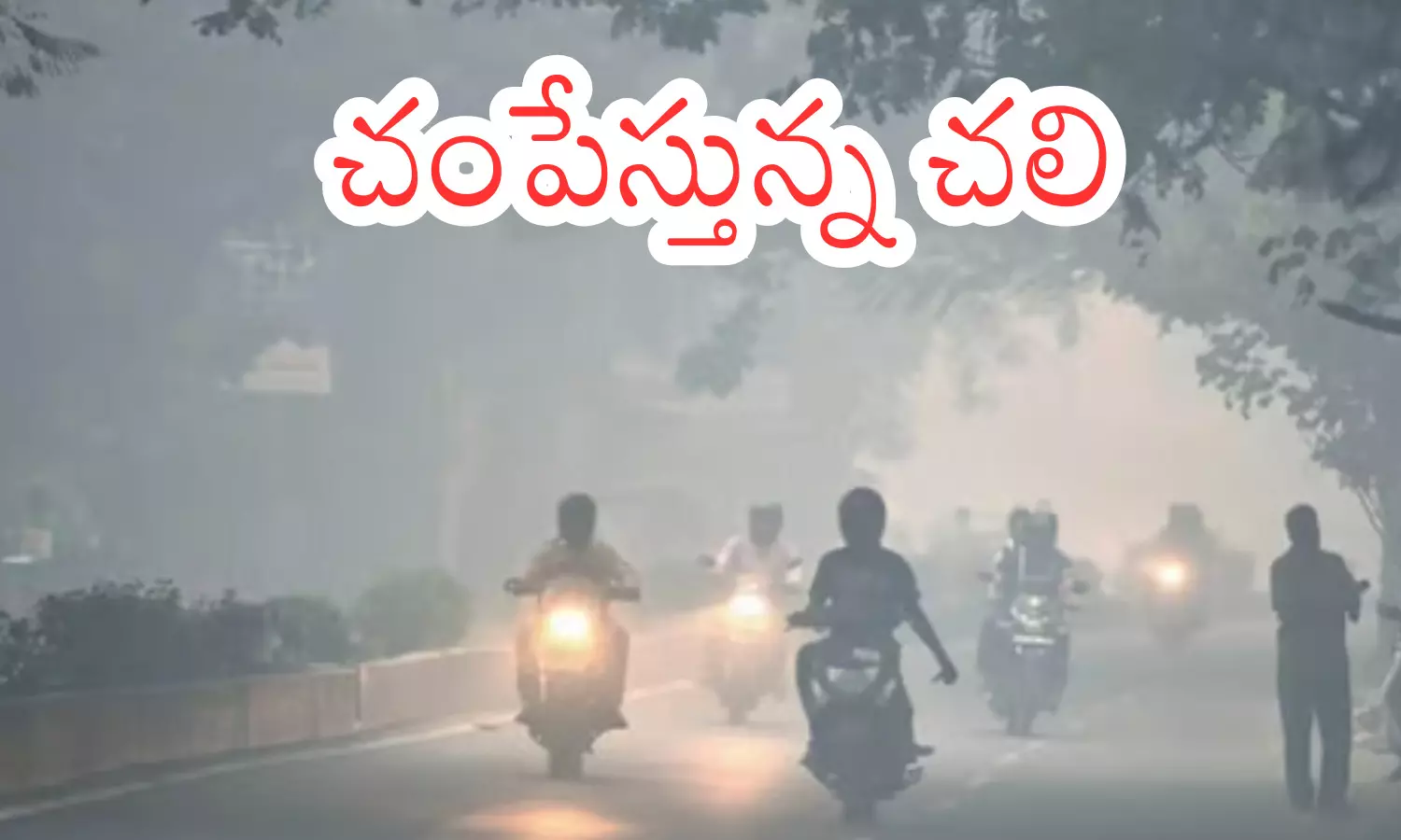cold winds in andhra pradesh, temperatures, dropped,telangana