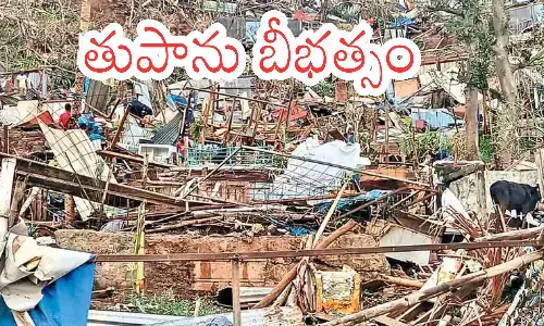 Cyclone Effect : విరుచుకుపడ్డ తుపాను ఛీడో తుపాను భారీగా ఆస్తి నష్టం.. వెయ్యి మందికిపైగా మృతి?