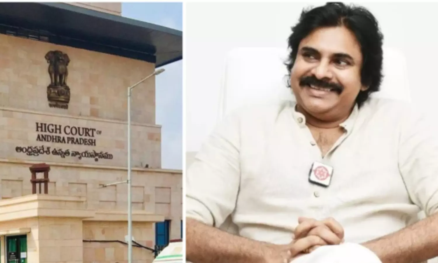 pawan kalyan, petition, volunteers, high court
