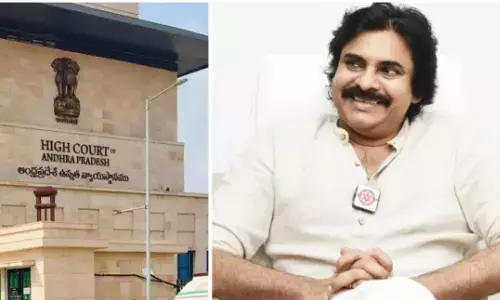 pawan kalyan, petition, volunteers, high court
