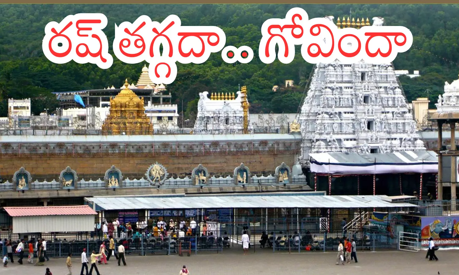 darshan time today in tirumala,  crowd, divotees, wednesday