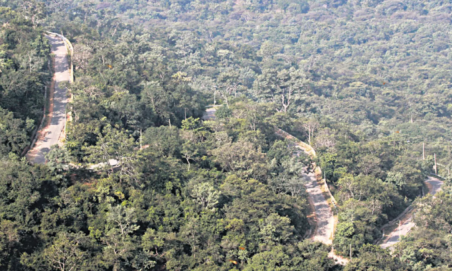 devotees, stuck,  nallamala forest, prakasam district
