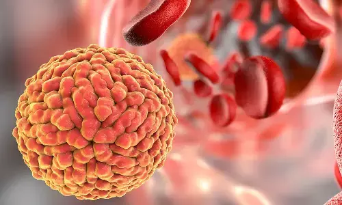 zika virus, six-year-old boy,  alert, nellore district