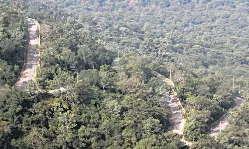 devotees, stuck,  nallamala forest, prakasam district