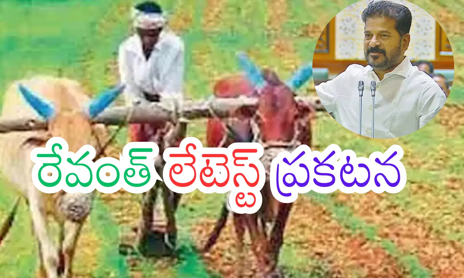 revanth reddy,  clarity,  raithu bharosa, assembly