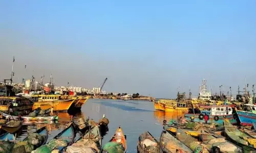 central government,  good news, fishing harbor, kothapatnam