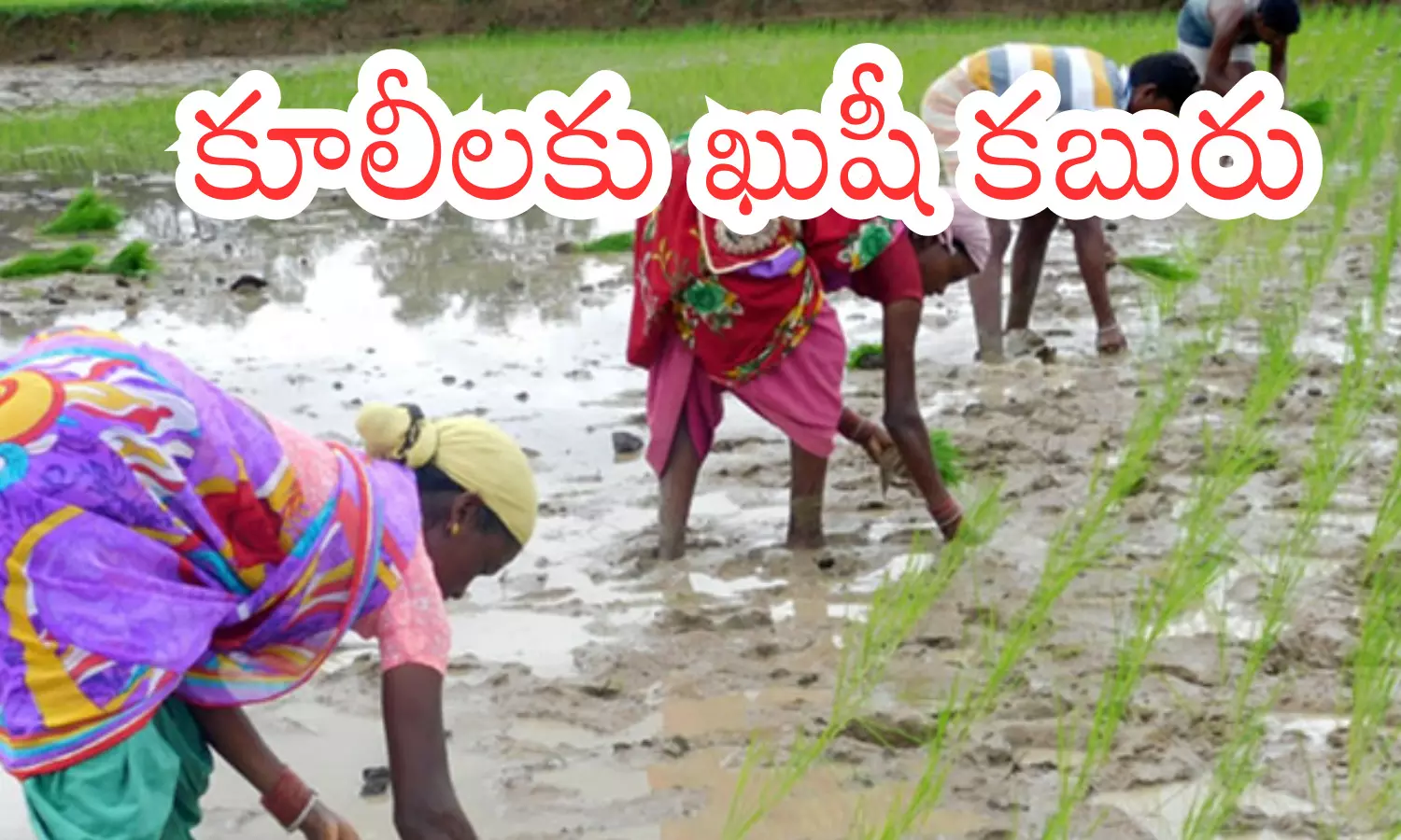 revanth reddy, good news,  financial assistance, agriculture labour