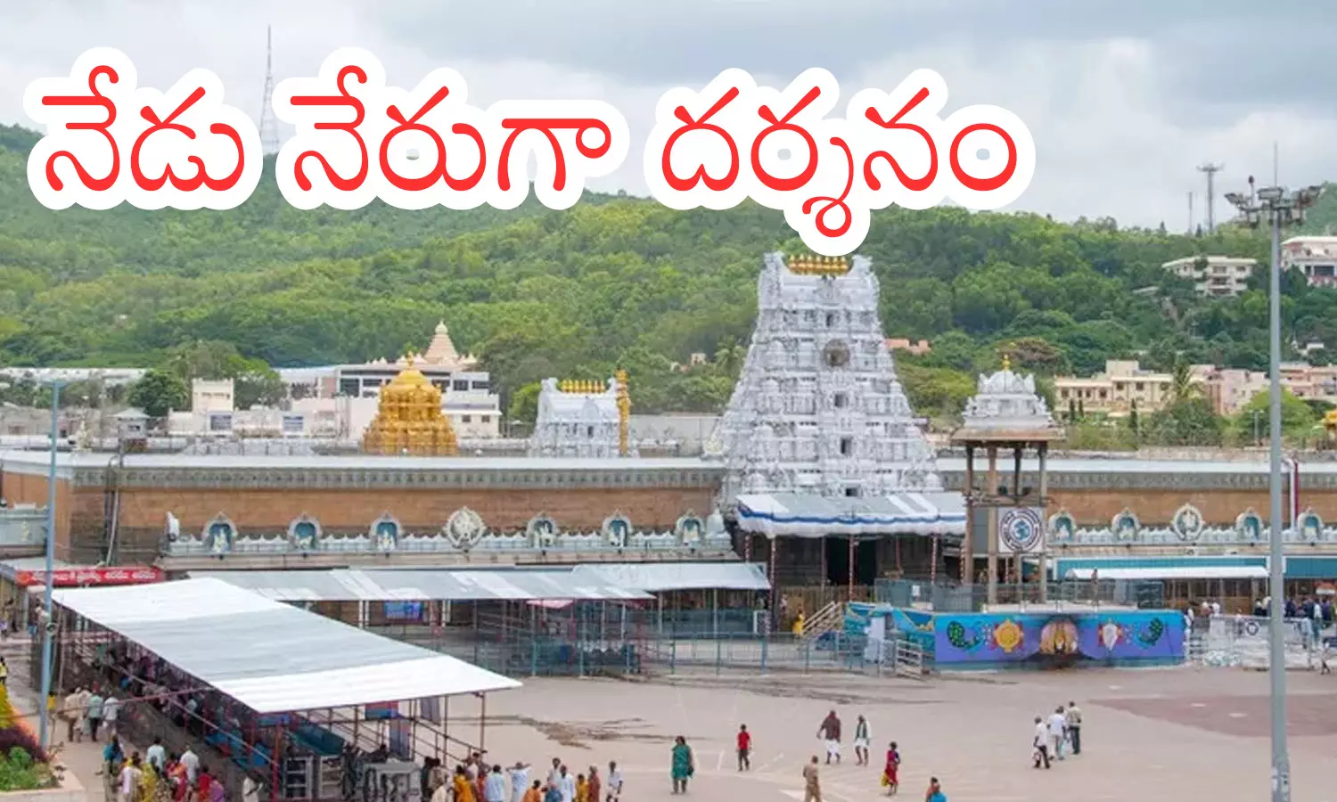 darshan timr today in tirumala, crowd, divotees, saturday