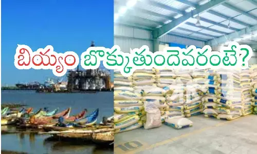 ration rice, smuggling, kakinada port, andhra pradesh