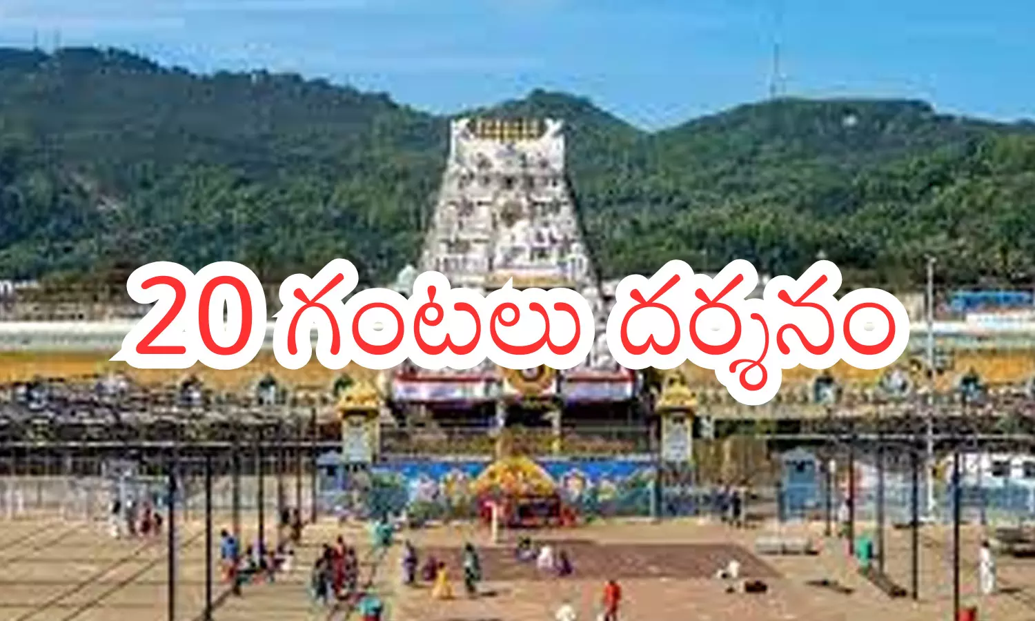 tirumala darahan time today, divotees, sunday, crowd